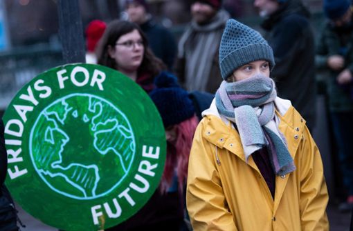 Greta Thunberg hat in ihrer Heimat wieder gegen den Klimawandel demonstriert. Foto: AFP/PONTUS LUNDAHL