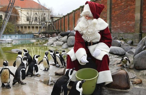 Am 6. Dezember und an den Adventssonntagen gastieren der Nikolaus und der Weihnachtsmann in der Wilhelma in Stuttgart. Foto: Wilhelma