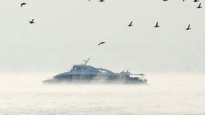 Der Katamaranbetrieb am Bodensee ist eingestellt. Foto: dpa