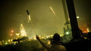 Es gibt gute Gründe, nicht nur dieses Jahr auf Feuerwerk an Silvester zu verzichten. Welche das sind, sehen Sie in unserer Bildergalerie. Foto: Lichtgut/Max Kovalenko