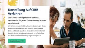 Die Bank-Website sieht täuschend echt aus: Nur das Corona-Banking CIBB ist frei erfunden – und eine Falle. Foto: Screenshot /STZN