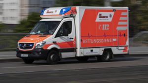 Die 83-jährige Pedelecfahrerin wurde per Rettungsdienst in eine Klinik gebracht (Symbolfoto). Foto: picture alliance/dpa/Boris Roessler