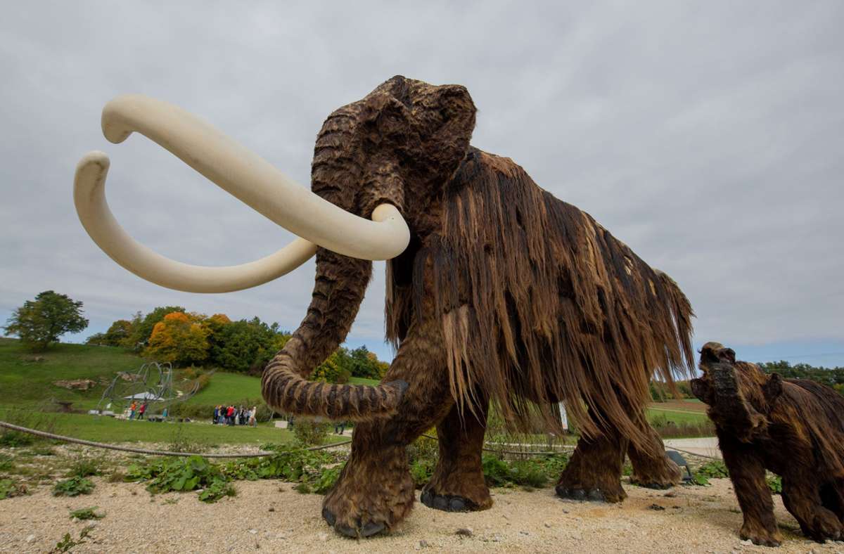 Naturgetreue Mammutnachbildungen stehen im Archäopark in Niederstotzingen im Landkreis Heidenheim. Foto: dpa/Stefan Puchner