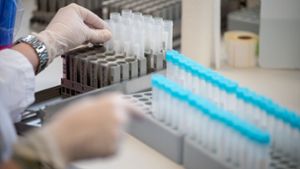 Die Kapazität an  PCR-Tests wächst. Die Frage ist, ob die Labore genügend Personal haben für die Auswertung. Foto: dpa/Sebastian Gollnow