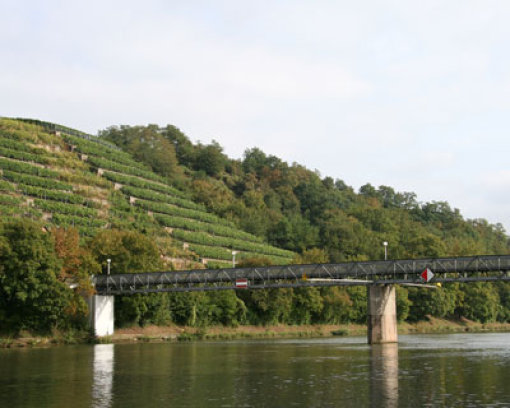 Führt malerische über den Neckar in die Weinberge: Der Münstersteg zwischen Stuttgart-Münster und Bad Cannstatt. Foto: Müth
