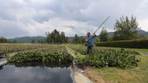 Kärcher setzt sich für sauberes Wasser in Südamerika ein