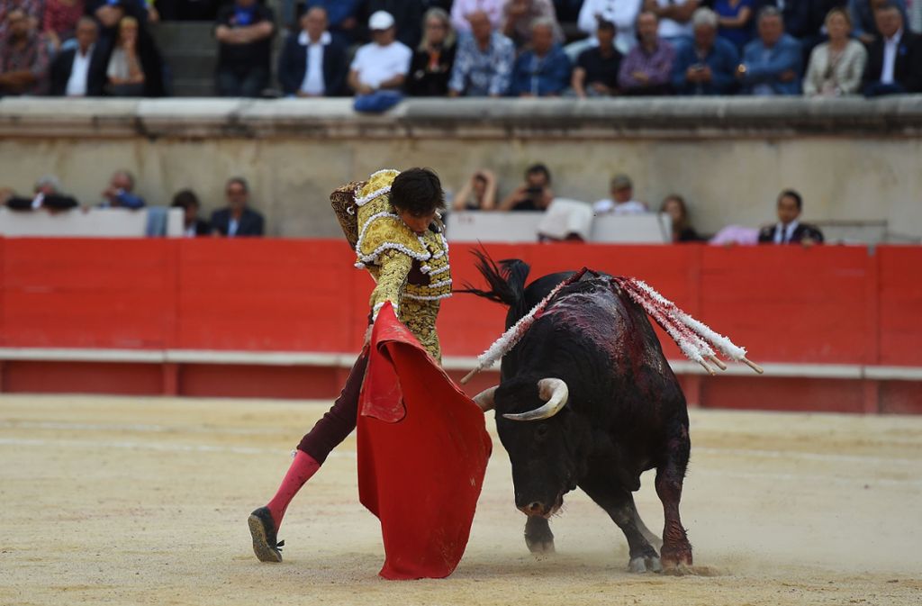 Auch in Frankreich gibt es eine Stierkampf-Tradition: Das Foto vom 9. Juni 2019 zeigt den Matador Andres Roca Rey  im südfranzösischen Nimes. Foto: AFP