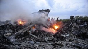 Trümmer der Passagiermaschine MH17 im Osten der Urkaine. Foto: dpa