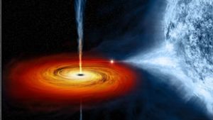 Auf dieser künstlerischen Darstellung der NASA sieht man ein rotierendes Schwarzes Loch, das einen Planeten verschlingt. Foto: NASA/CXC/M. Weiss