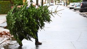 Weihnachtsbaum-Kehraus: Ausgediente Bäume müssen abgeschmückt werden. Foto: imago images/Petra Schneider