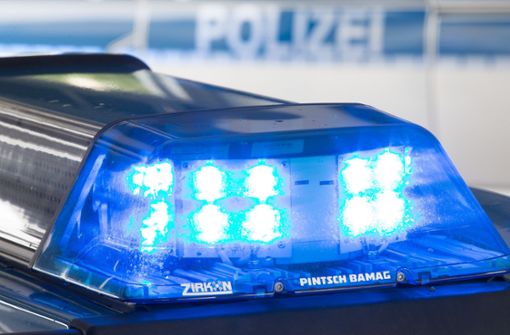 Mit Blaulicht und Martinshorn verfolgten die Beamten den Raser. (Symbolbild) Foto: dpa/Friso Gentsch