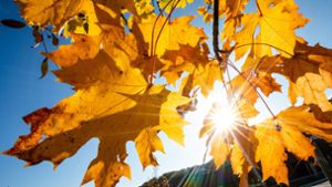 Oktober war überdurchschnittlich sonnig – und zu trocken