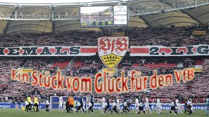 Unterstützen Sie mit uns den VfB Stuttgart - dann wirds was mit dem Klassenerhalt. Foto: dapd / Montage: SIR