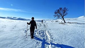 Schneeschuh-Wandern im Nationalpark Jotunheimen, dem „Heim der Riesen“. Foto: Karin Kura