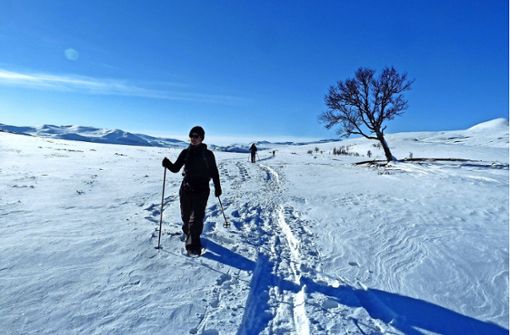 Schneeschuh-Wandern im Nationalpark Jotunheimen, dem „Heim der Riesen“. Foto: Karin Kura