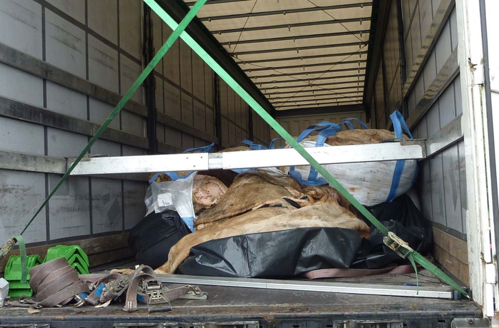 Big Packs mit 22 Tonnen verwesender Tierhäute fanden die Autobahnpolizisten in diesem Lkw.