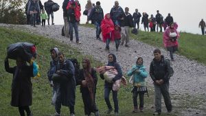 Flüchtlinge im slowenischen Brezice überqueren die Grenze zu Kroatien. Foto: AP