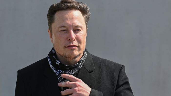 Elon Musk teilt Beitrag mit Aufruf zu AfD-Wahl