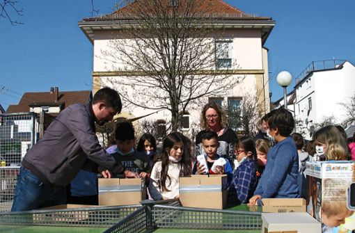 Dominic Wiessmann, Rektorin Katrin Kirchmann und die Kinder beim Packen Foto: Müller-Baji
