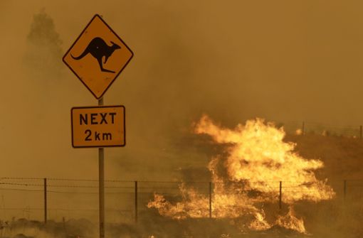 Die Brände von 2020 sind als „Schwarzer Sommer“ in die Geschichte Australiens eingegangen. Foto: dpa/Rick Rycroft
