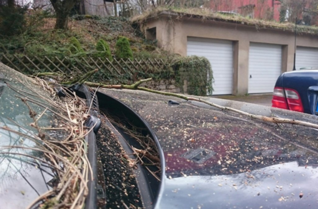In Stuttgart-Sonnenberg krachte ein Baum auf ein Auto.