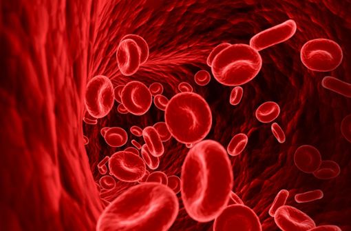 Rote Blutkörperchen sind lebenswichtig: Sie transportieren Sauerstoff. Foto: Sebastian Kaulitzki/Adobe Stock
