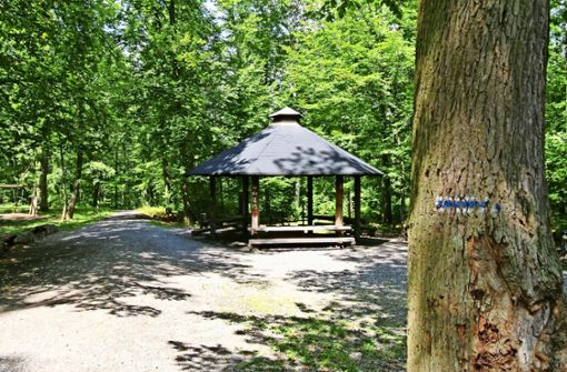 Der Pfaffenwald, im Bild der Grillplatz „Unter vier Eichen“, wird durchforstet: Auf 50 Hektar fällt das Forstamt in den kommenden Wochen Bäume. Foto: Archiv Stefanie Käfferlein