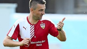Kein perspektive beim VfB: Stürmer Vedad Ibisevic Foto: Baumann