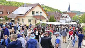 Volle Straßen in Döffingen: Der Vatertagsmarkt zieht  Tausende Besucher an. Foto: /Silas Schüller, Stolte (2)