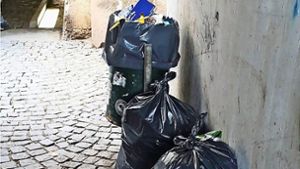 Immer wieder wird in Plochingen illegal Müll abgestellt. Die Entsorgungskosten trägt die Allgemeinheit. Foto: oh
