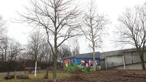 Vom Kurt-Georg-Kiesinger-Platz zum Cannstatter Wasen: Fünf von 16 Bäumen sollen hier weiter wachsen. Foto: Beytekin