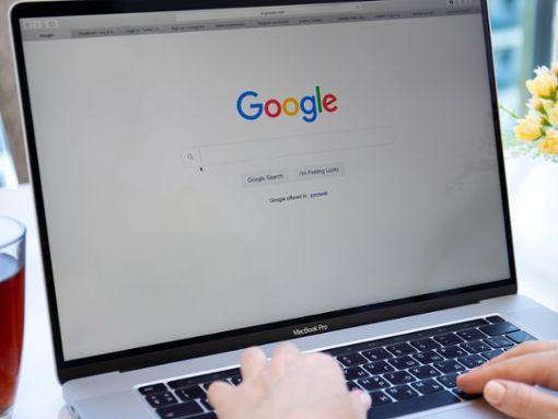 Jeder Internetnutzer kennt Google. Foto: DenPhotos/Shutterstock.com