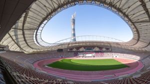 Kein Rasen für die Fußball-WM in Katar