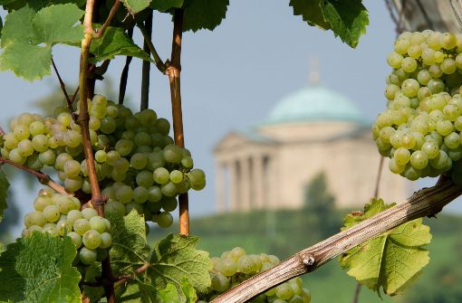 Wein aus Württemberg hat seinen Preis. Doch den wollen die Verbraucher nicht immer bezahlen. Foto: dpa
