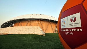 Selbst   dem treuesten Fan       dürfte dämmern, dass es bei der WM in Katar nur einen Sieger geben wird, aber ziemlich viele Verlierer Foto: EPA FILE