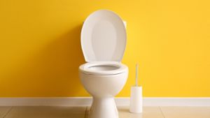 Wie oft sollte man die Toilette putzen?