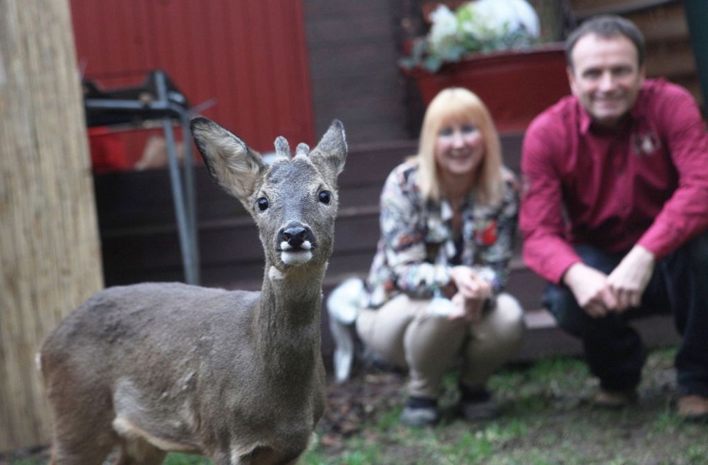 Anja Pahlen und Peter Göbel haben das Wildtier Bambi aufgenommen.