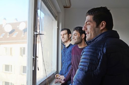 Blick nach vorn: Abdul, Hassan und Sahel (von links) schauen aus dem Fenster ihrer neuen Wohnung in Zuffenhausen Foto: Hanna Spanhel