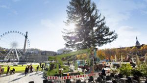 Die Bilder vom Aufbau des Stuttgarter Weihnachtsbaums