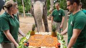 Stuttgart feiert seine Elefantendame Pama