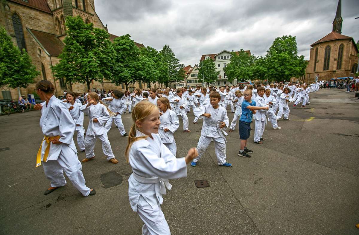 Kampfkunst-Flashmob auf dem Marktplatz von Esslingen Foto: Roberto Bulgrin