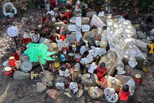 An der Stelle, wo der getötete sechsjährige Joel im September 2023 gefunden wurde, stehen ein Kreuz, Windmühlen und Grablichter.  Foto: Bernd Wüstneck/dpa