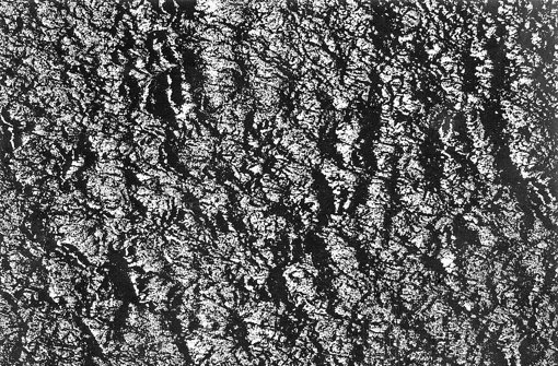Aus Wellen werden bei Detlef Orlopp Linien, die sich zu eigenwertigen Strukturräumen ­formieren. Foto: Detelf Orlopp/Parotta Contemporary Art