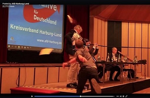 Mit einer tiefgefrorenen Torte hat ein 17-Jähriger den AfD-Bundeschef Jörg Meuthen bei einer Versammlung seiner Partei im niedersächsischen Landkreis Harburg beworfen. Screenshot: Facebook/@AfD Harburg-Land