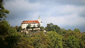 Hoch über Vaihingen an der Enz thront das Schloss Kaltenstein – es ist verwaist. Foto: dpa