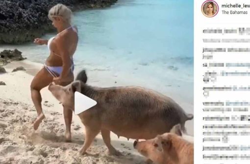 Hier wird das Model von einem Schwein attackiert. Foto: Instagram/michelle_lewin