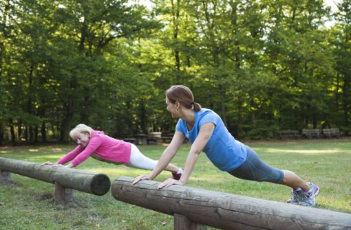 Um fit zu  bleiben, kann man  auf einem  Trimm-dich-Pfad Übungen absolvieren Foto: imago
