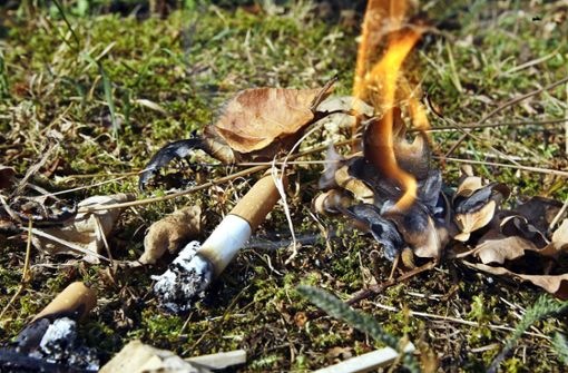 Schon eine achtlos weg geworfene Zigarettenkippe kann trockenes Laub und Gras entzünden, aber in Unterensingen geht die Polizei von Brandstiftung aus. Foto: dpa/Wolfgang Kumm