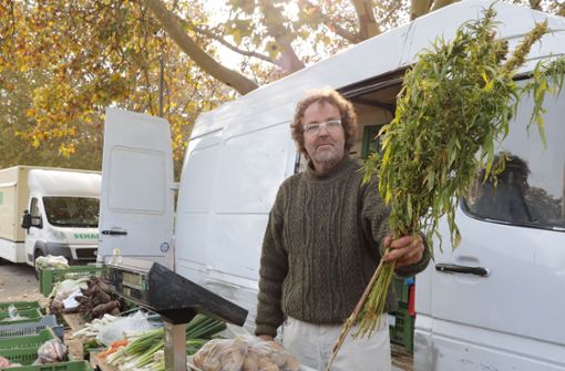 Biobauer Felix Leyde hat, wie hier auf dem Zuffenhäuser Wochenmarkt, immer auch Nutzhanfpflanzen dabei. Sie sehen genau wie verbotene Cannabispflanzen aus. Foto: Marta Popowska
