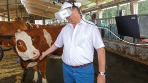 Agrarminister betrachtet die Welt mit den Augen einer Kuh